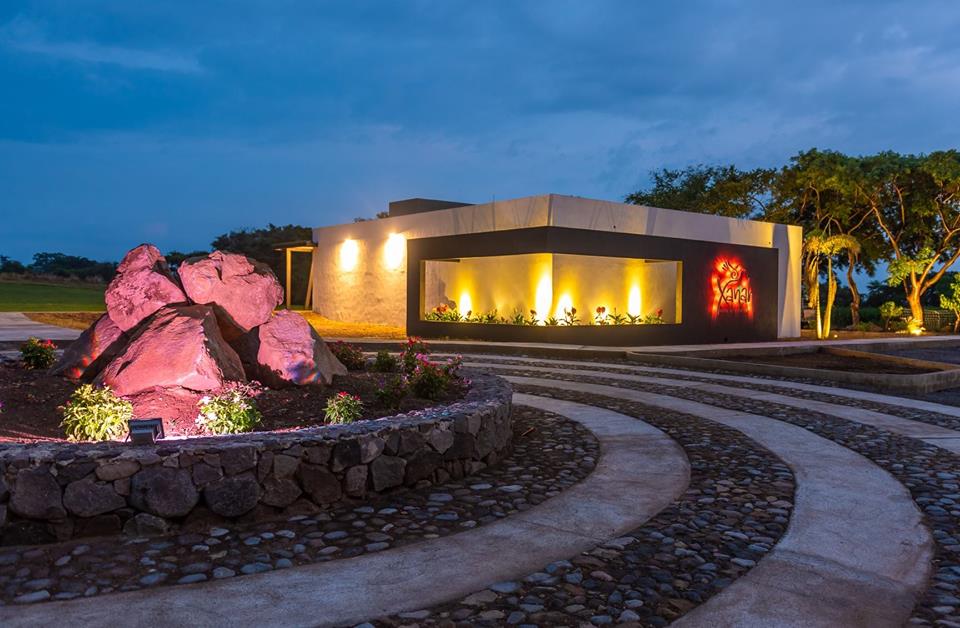 leetx-google-photo-72244-5 leetx-google-photo-72244-5