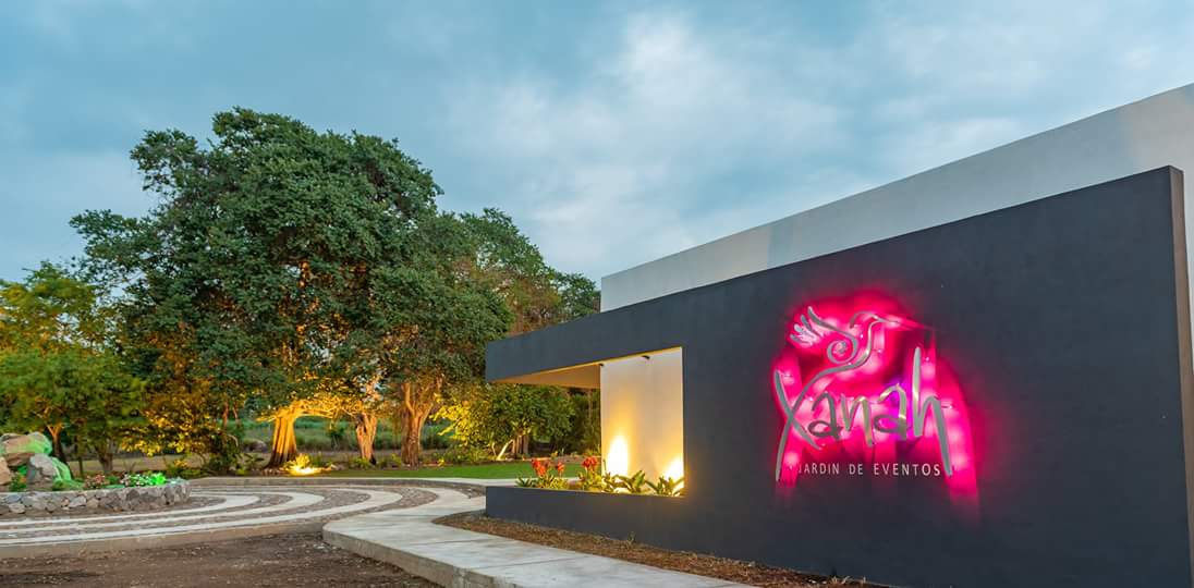 leetx-google-photo-72244-8 leetx-google-photo-72244-8