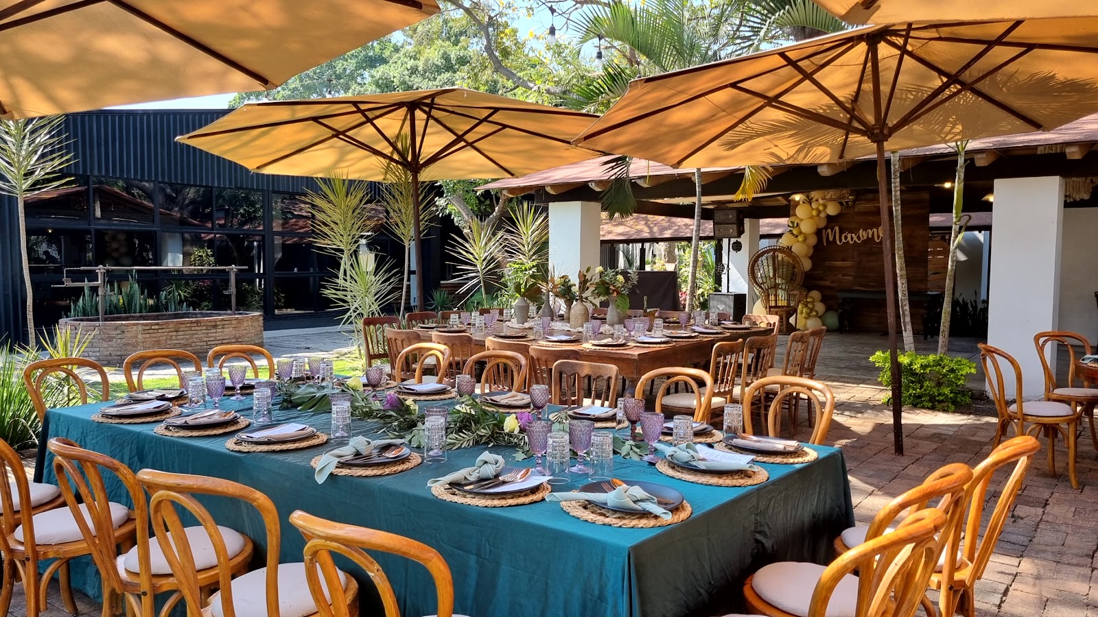 leetx-google-photo-72377-8 leetx-google-photo-72377-8