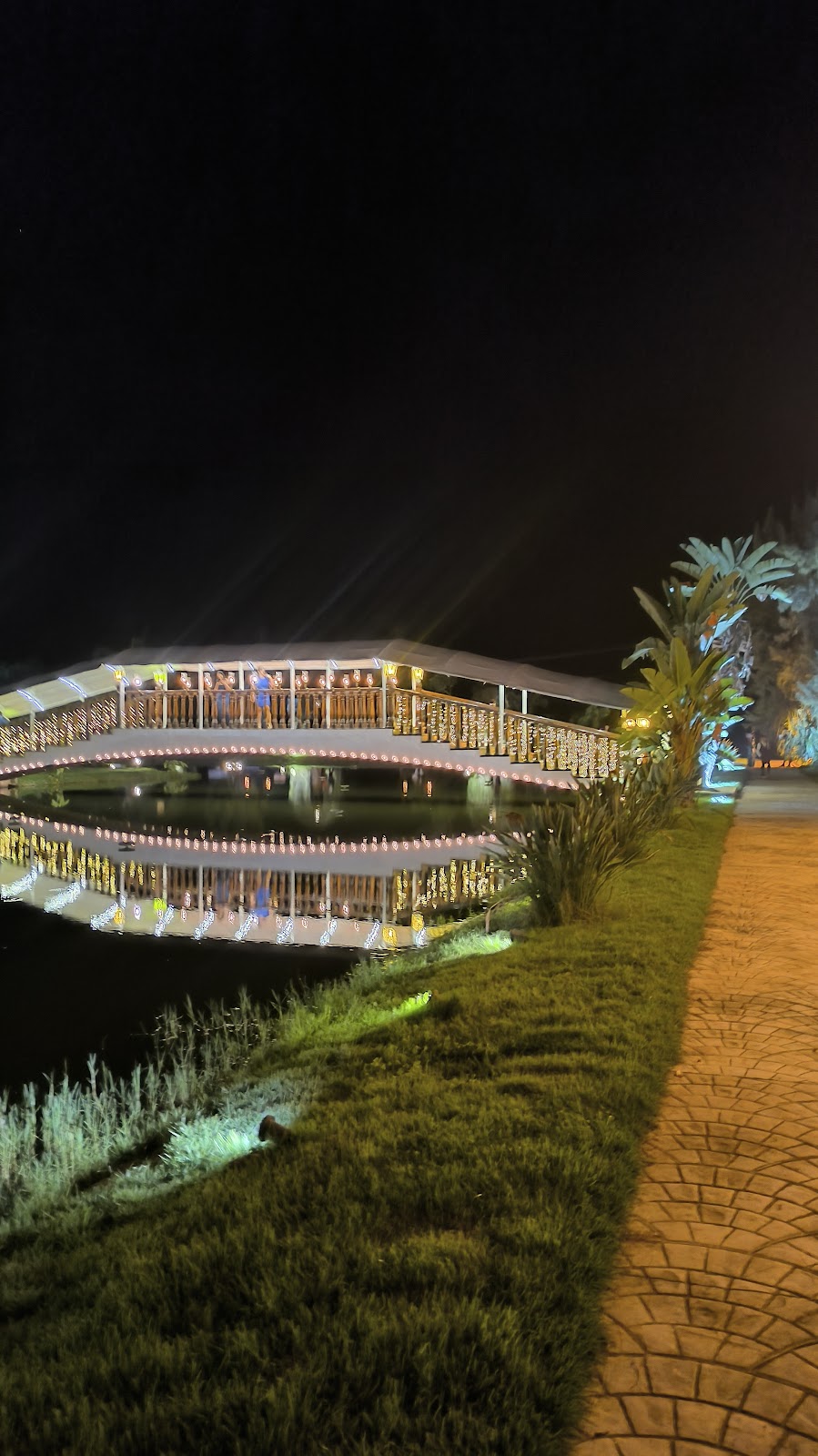 leetx-google-photo-72403-7 leetx-google-photo-72403-7