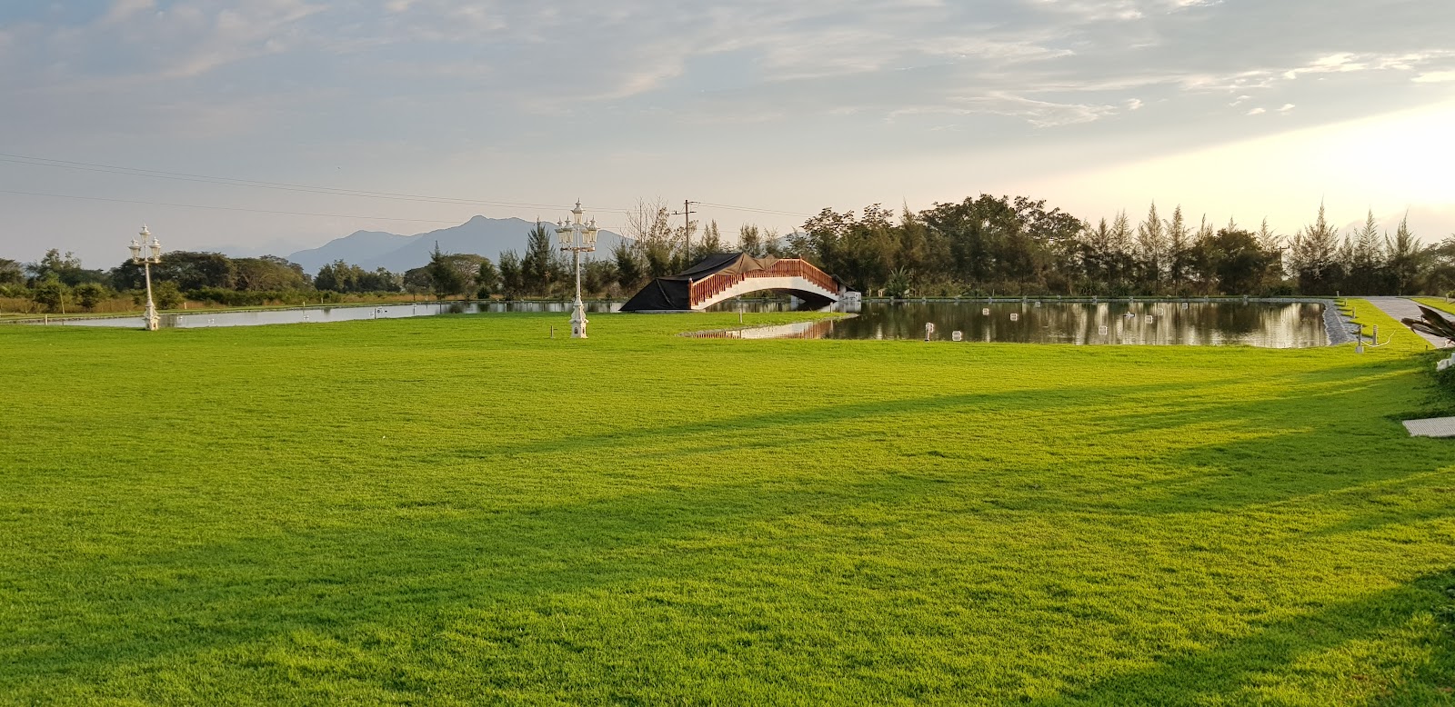 leetx-google-photo-72403-8 leetx-google-photo-72403-8