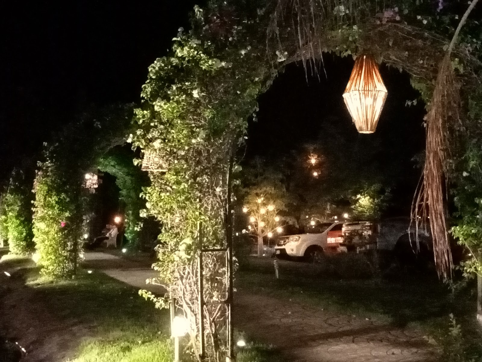 leetx-google-photo-72403-9 leetx-google-photo-72403-9