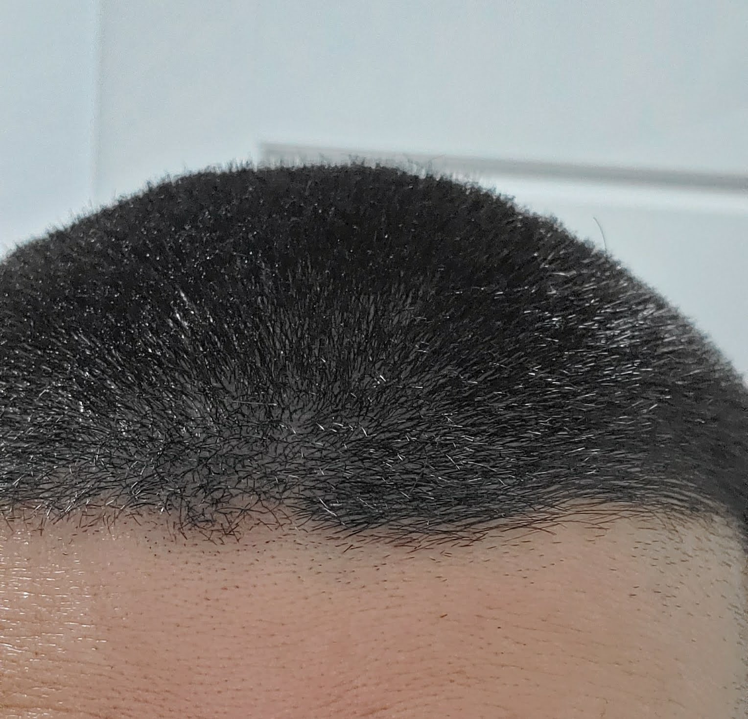 leetx-google-photo-72505-4 leetx-google-photo-72505-4