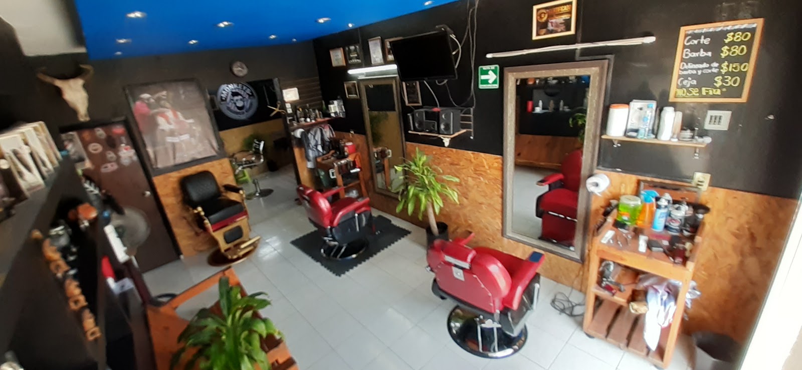 leetx-google-photo-72828-6 leetx-google-photo-72828-6