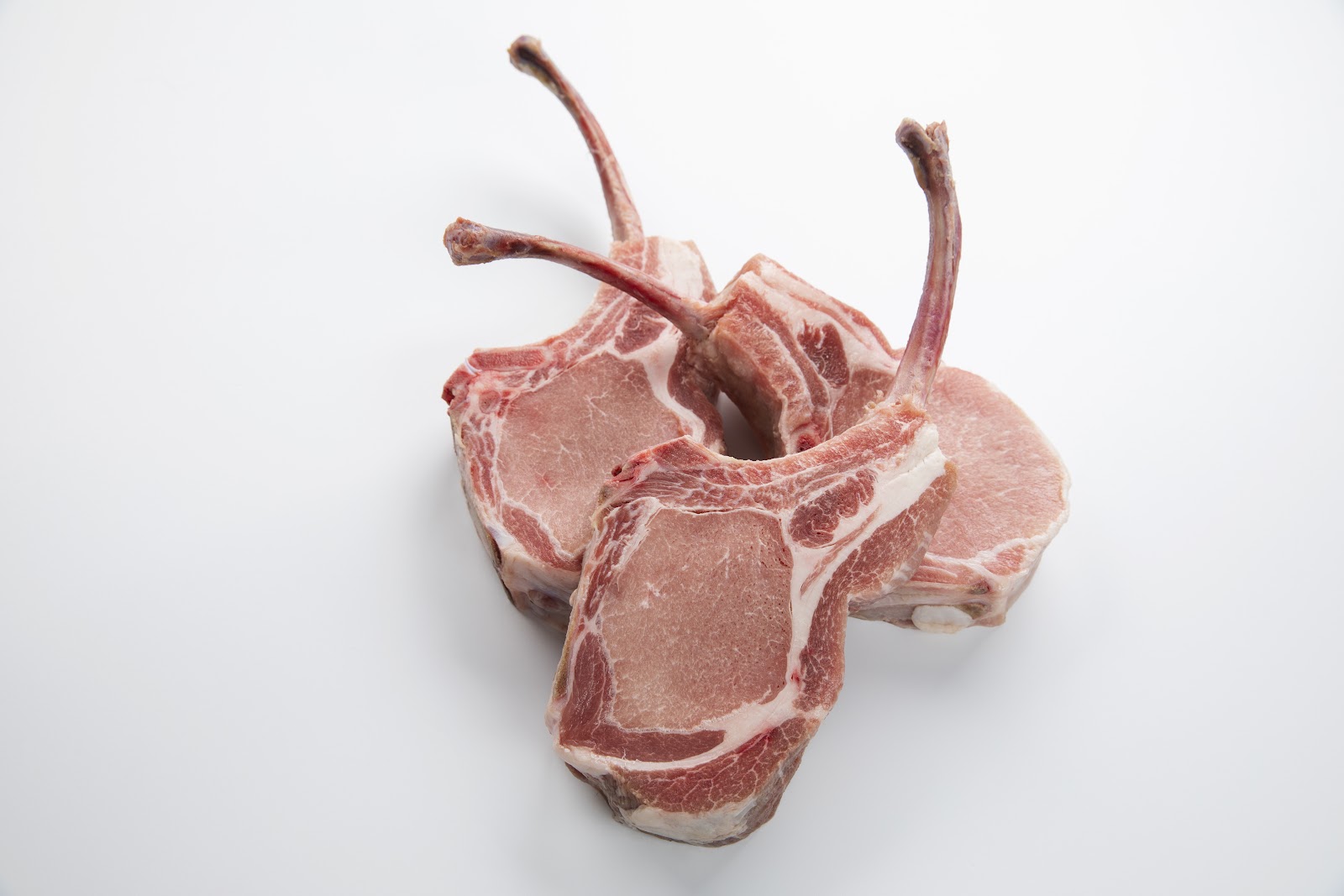 leetx-google-photo-72867-9 leetx-google-photo-72867-9