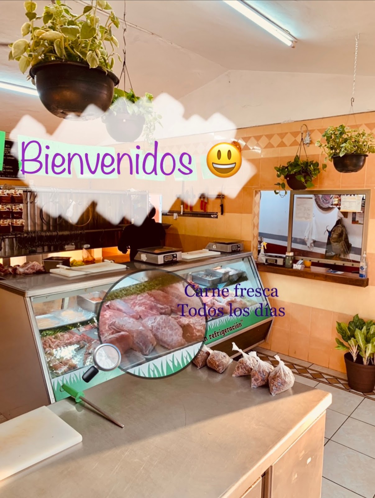 leetx-google-photo-73003-4 leetx-google-photo-73003-4