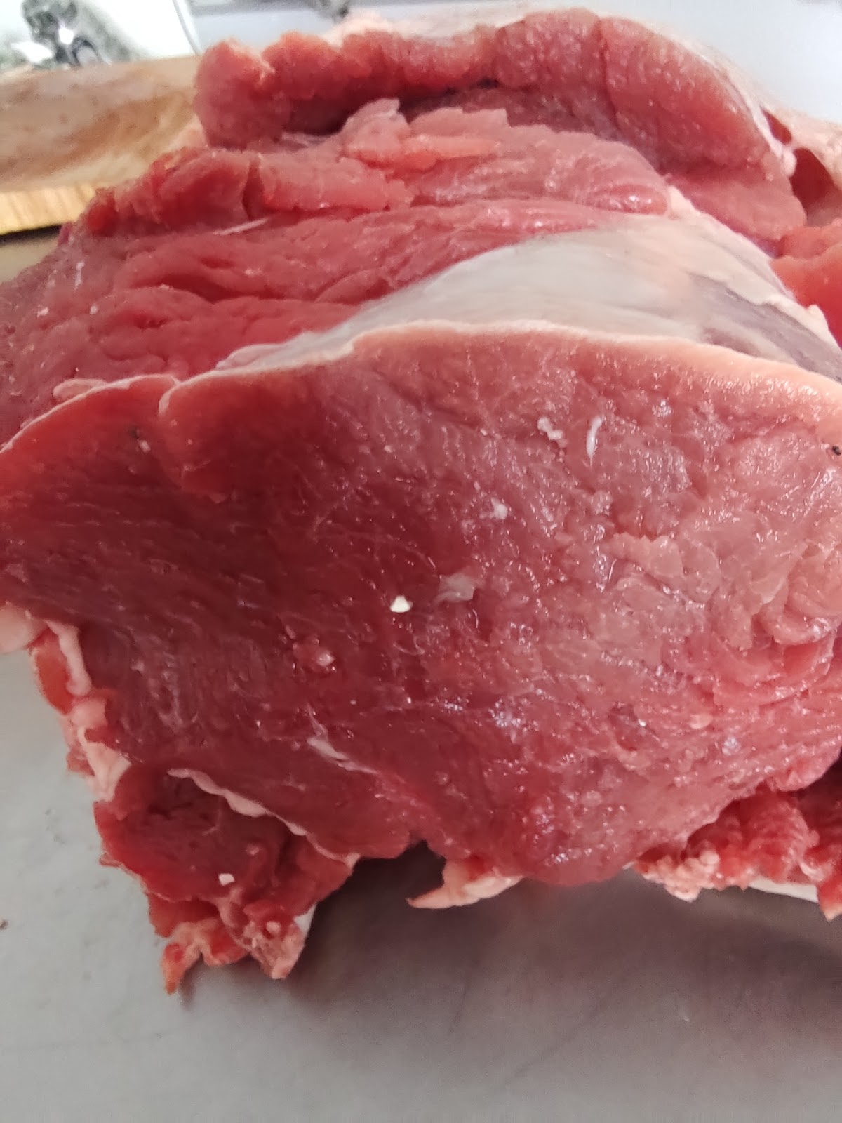 leetx-google-photo-73051-6 leetx-google-photo-73051-6