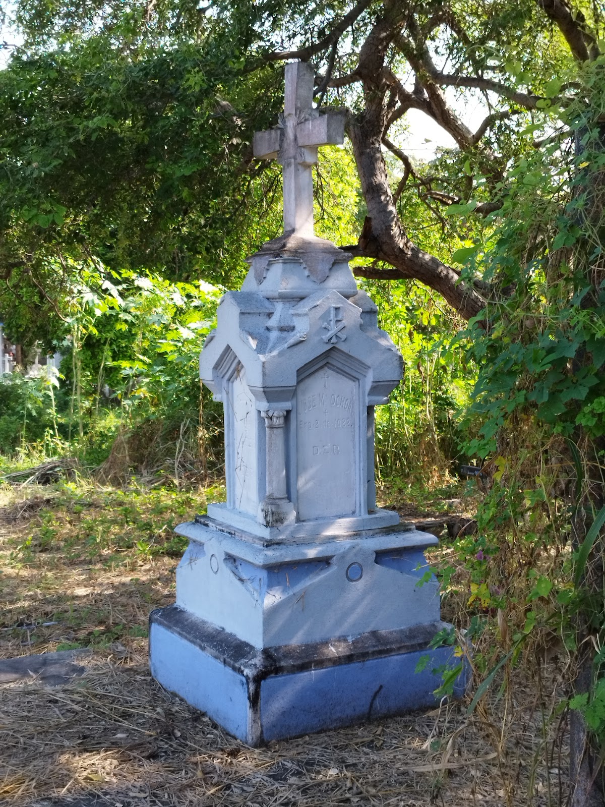 leetx-google-photo-73189-2 leetx-google-photo-73189-2