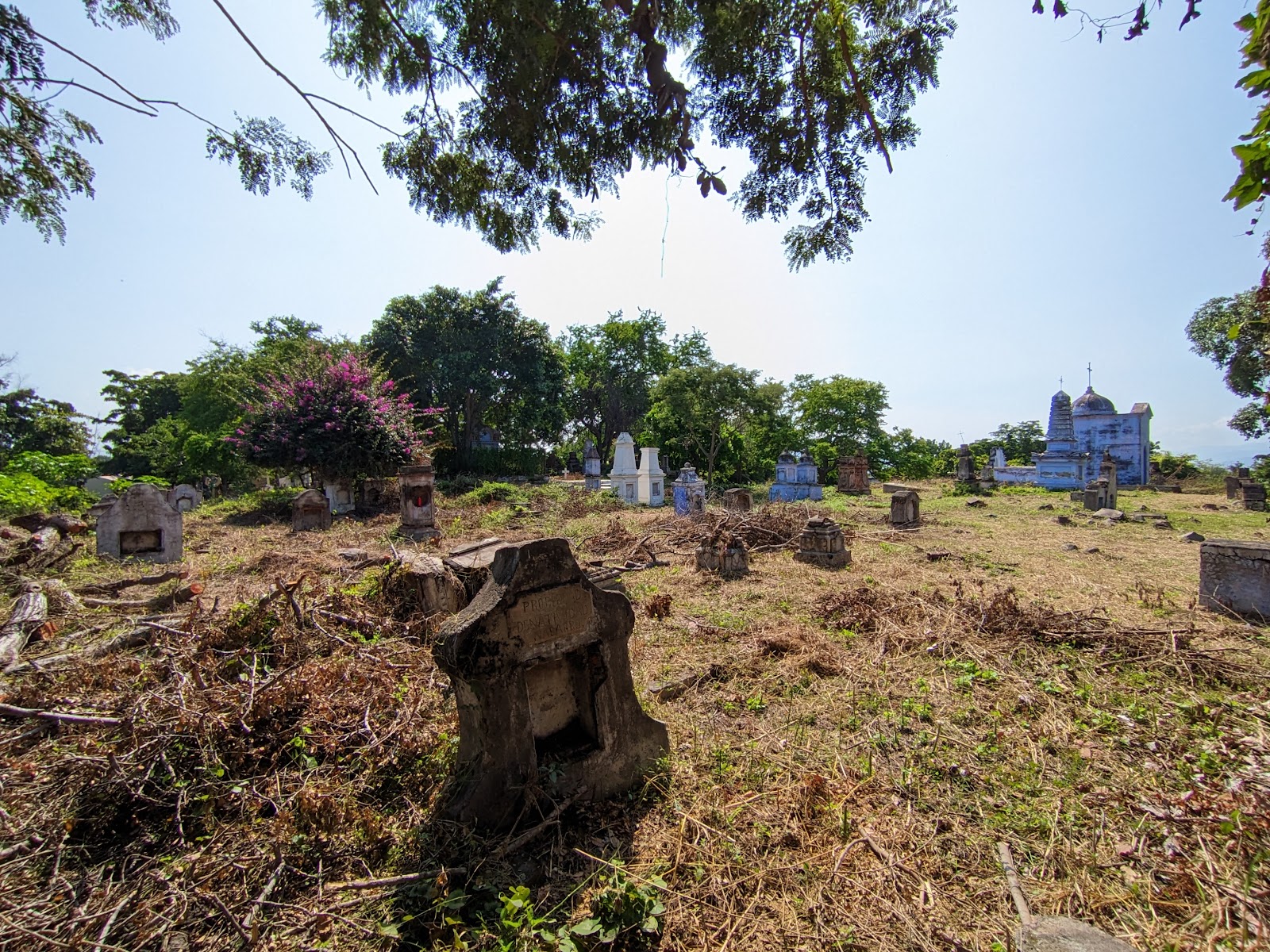 leetx-google-photo-73189-3 leetx-google-photo-73189-3