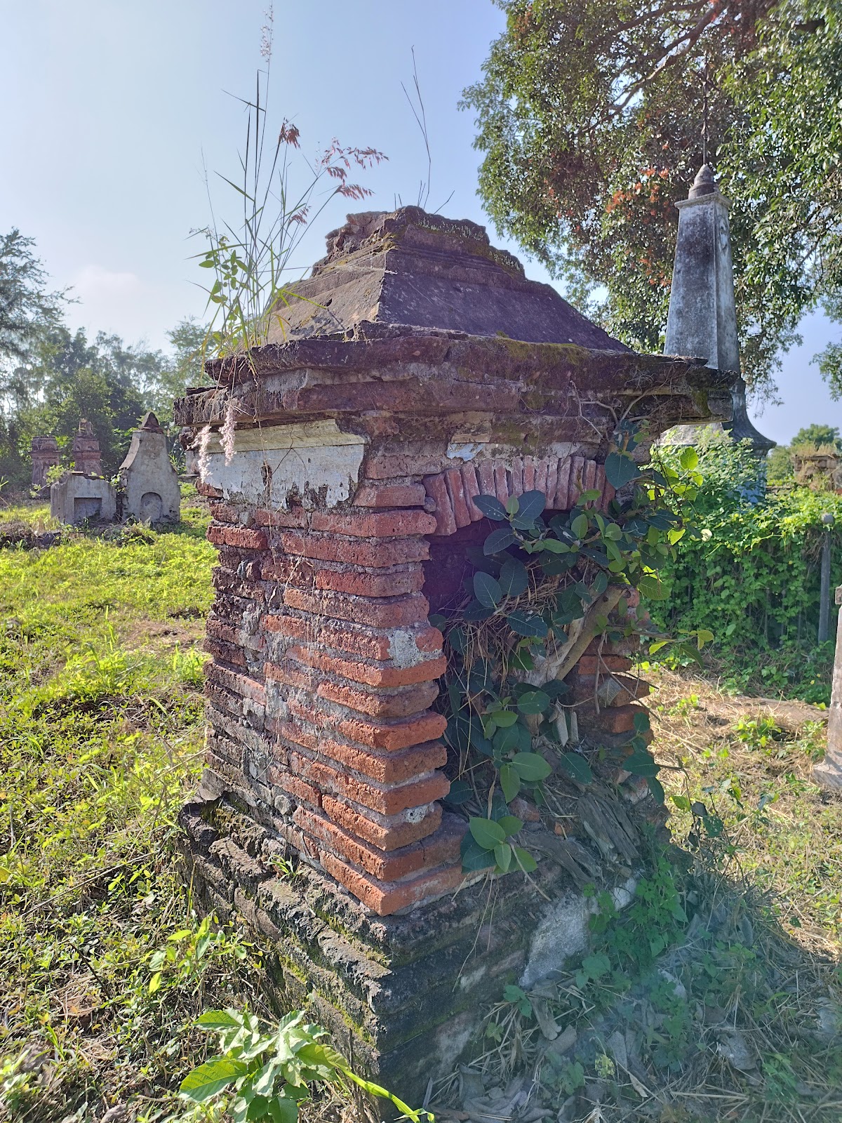 leetx-google-photo-73189-6 leetx-google-photo-73189-6