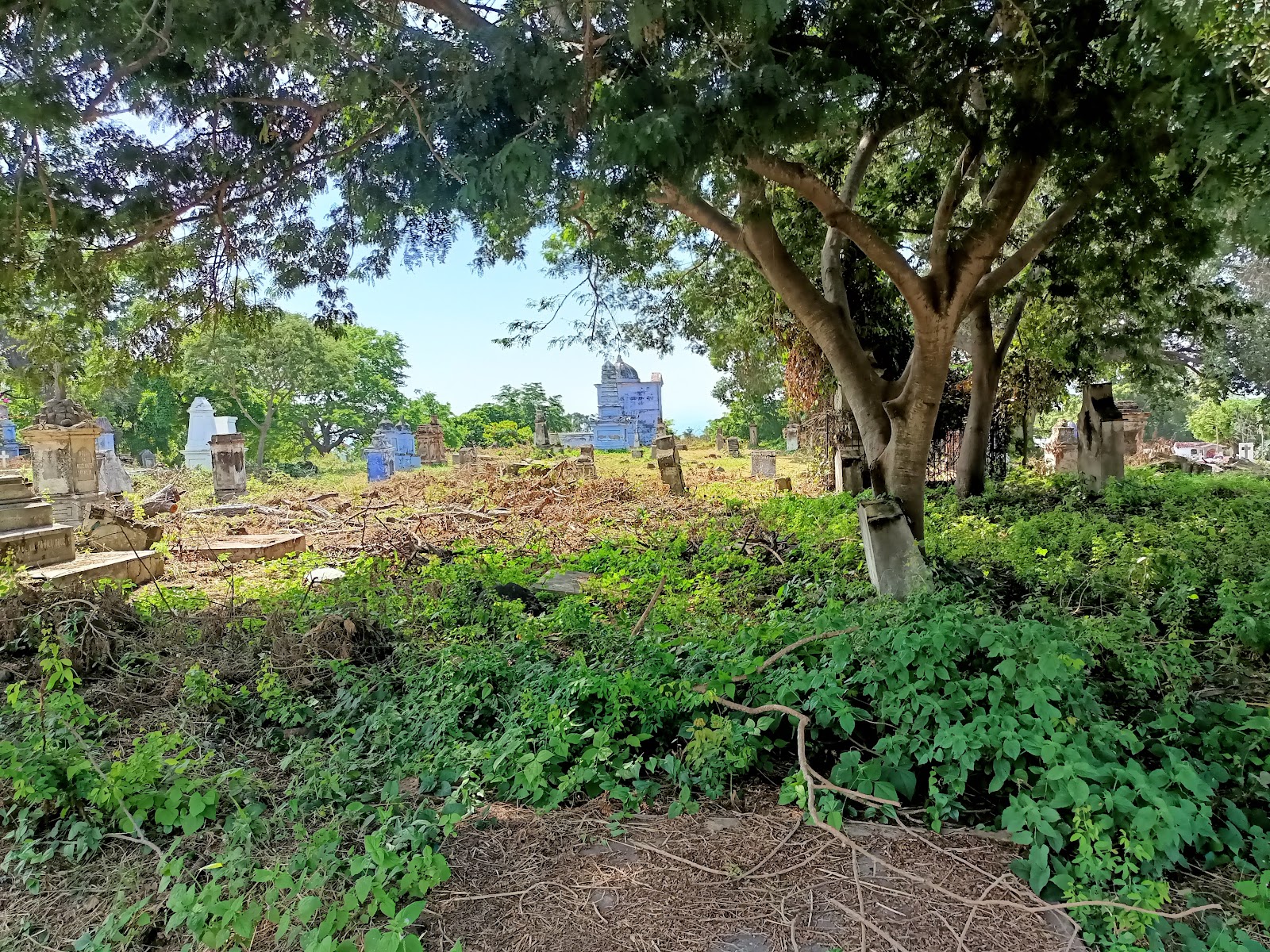 leetx-google-photo-73189-7 leetx-google-photo-73189-7