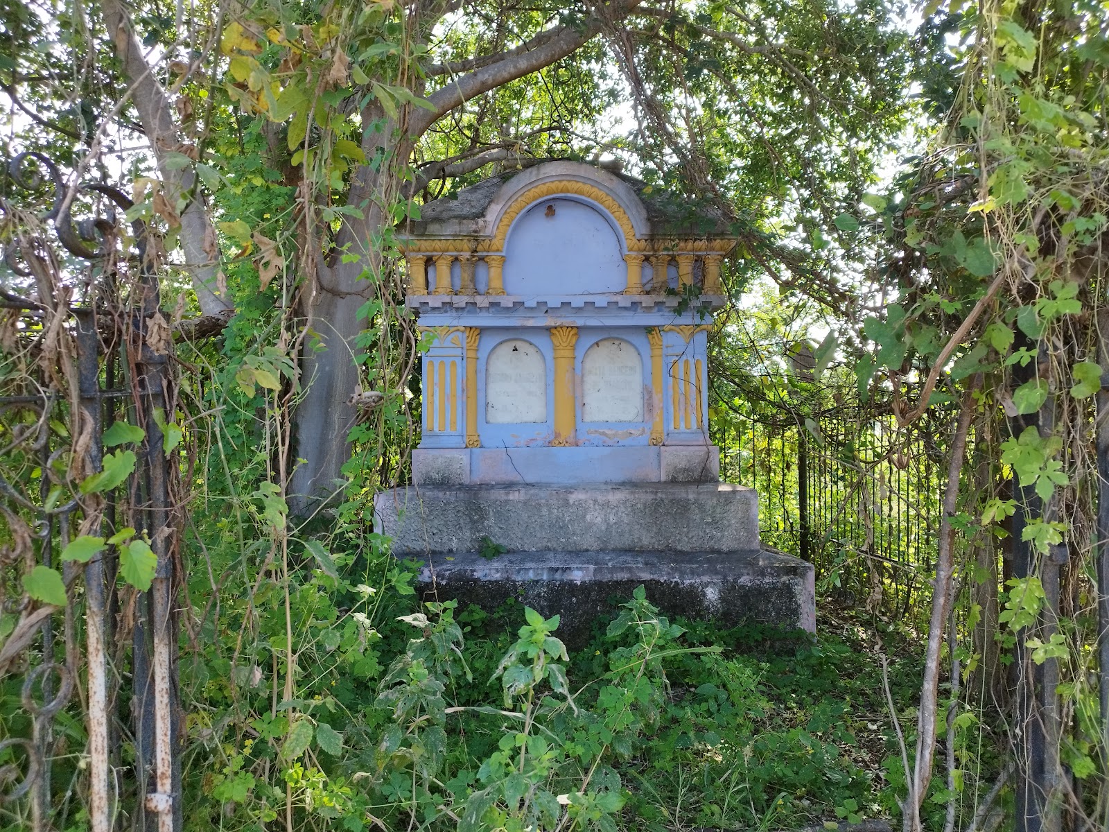 leetx-google-photo-73189-8 leetx-google-photo-73189-8