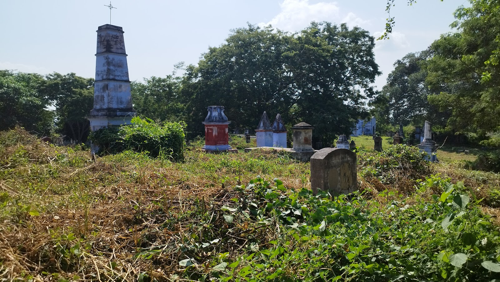 leetx-google-photo-73189-9 leetx-google-photo-73189-9