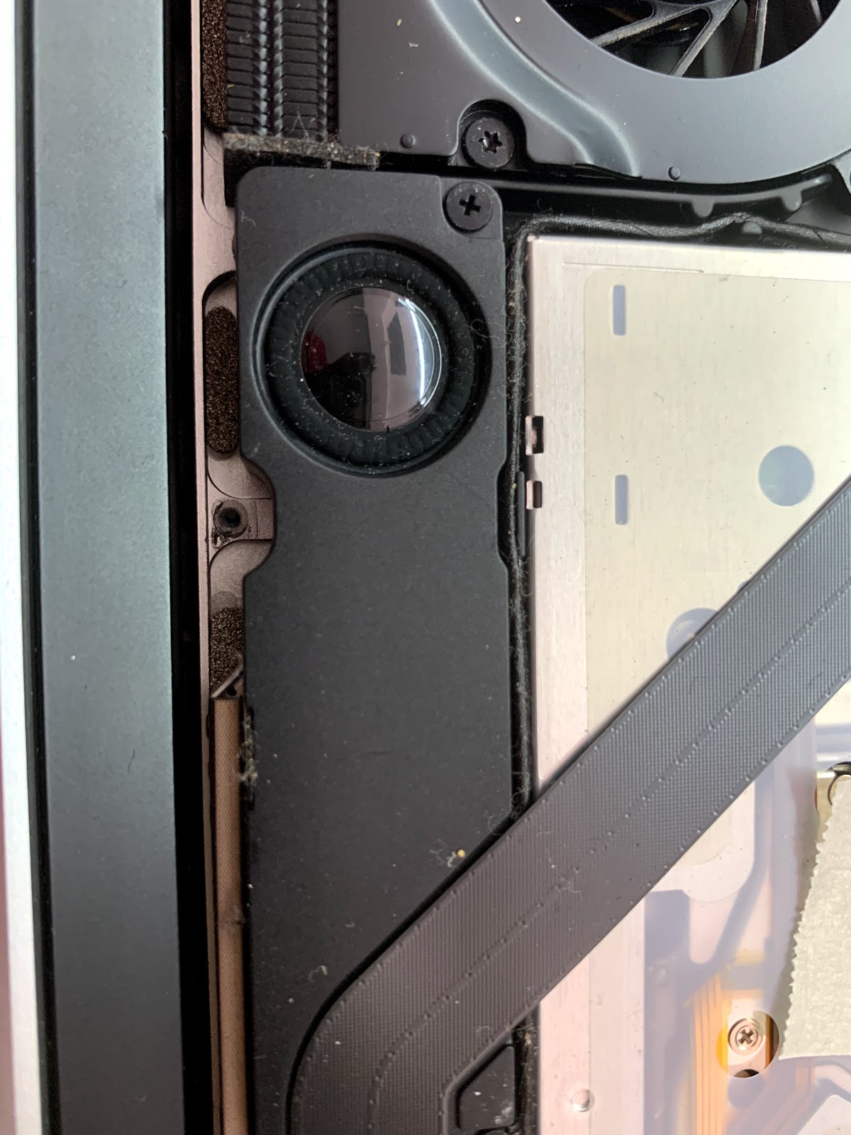 leetx-google-photo-73911-7 leetx-google-photo-73911-7