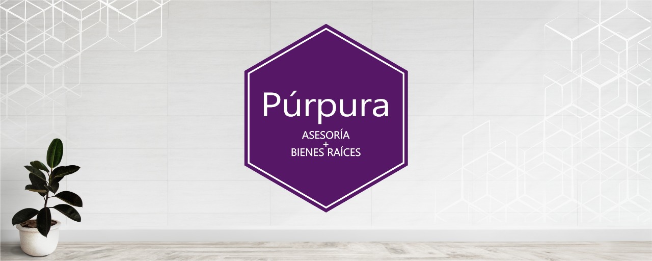 leetx-google-photo-78578-5 leetx-google-photo-78578-5