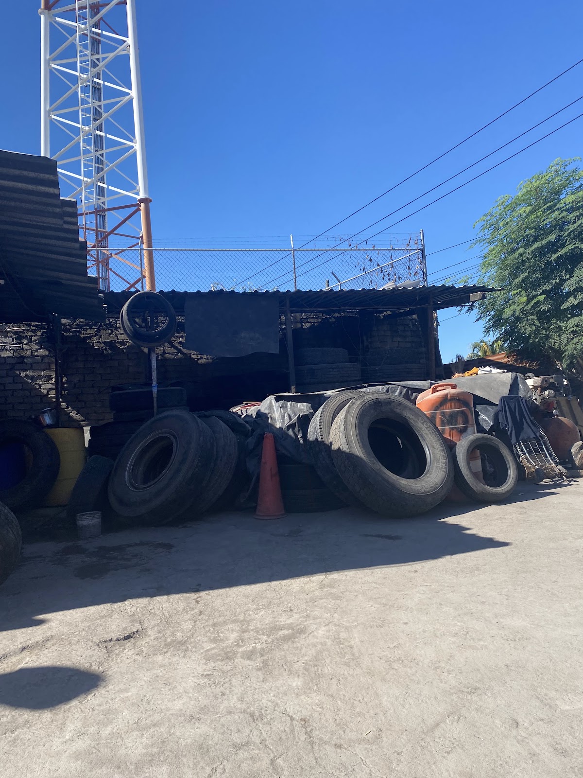 leetx-google-photo-79825-2 leetx-google-photo-79825-2