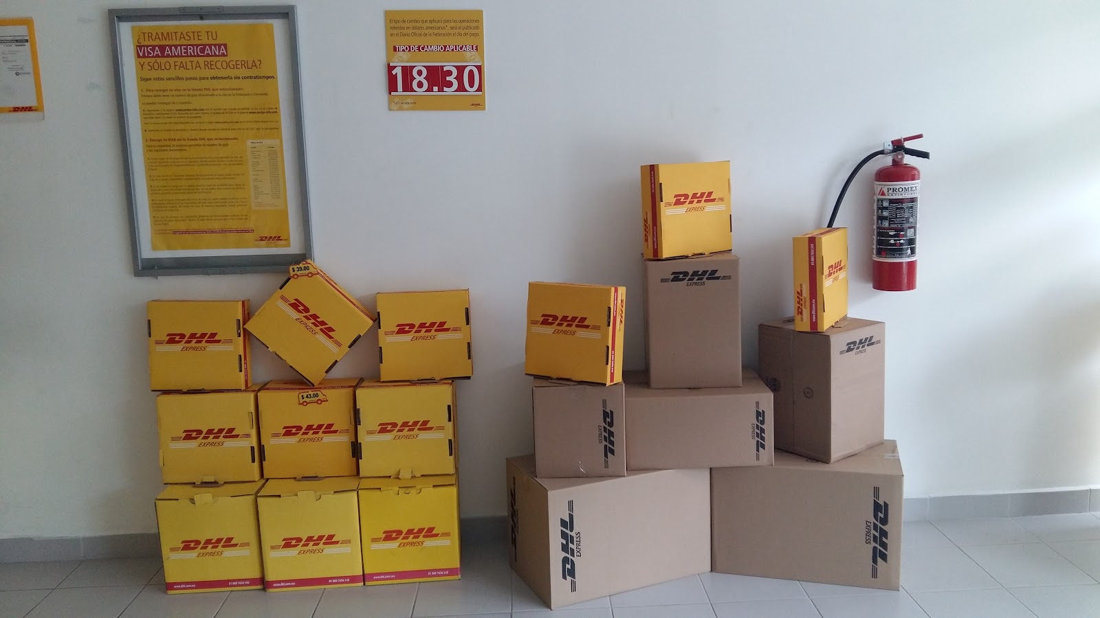 leetx-google-photo-80340-3 leetx-google-photo-80340-3