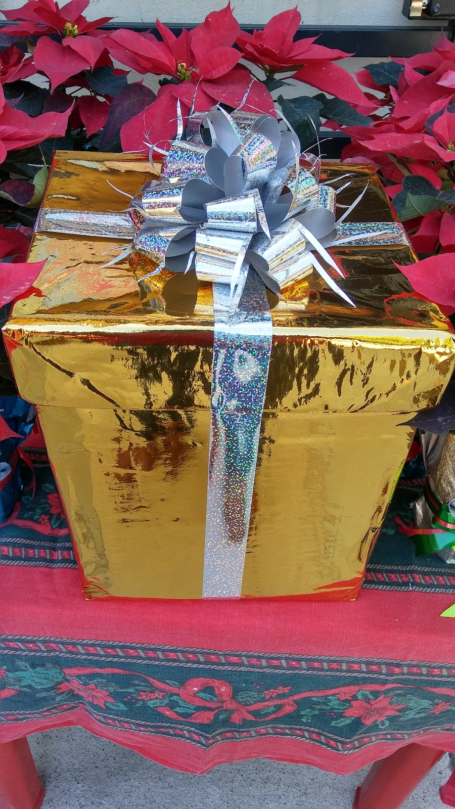 leetx-google-photo-80990-9 leetx-google-photo-80990-9