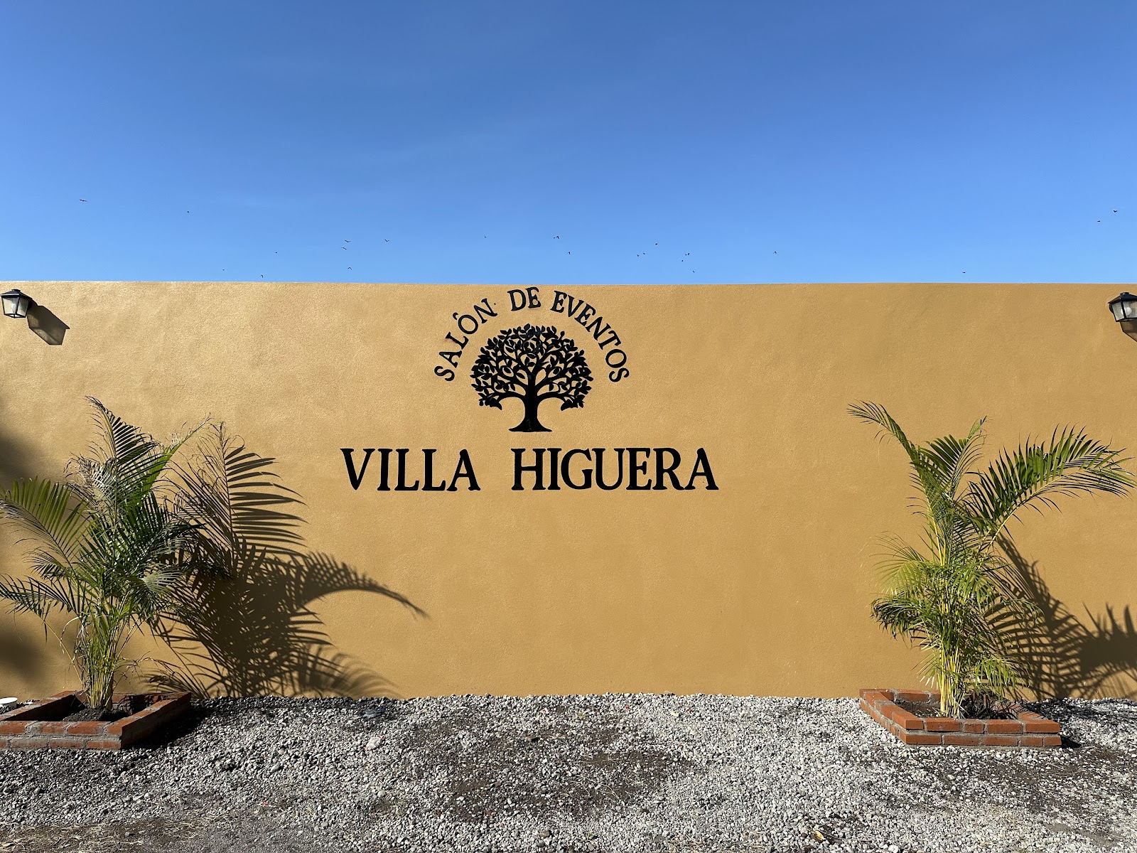 leetx-google-photo-81794-6 leetx-google-photo-81794-6