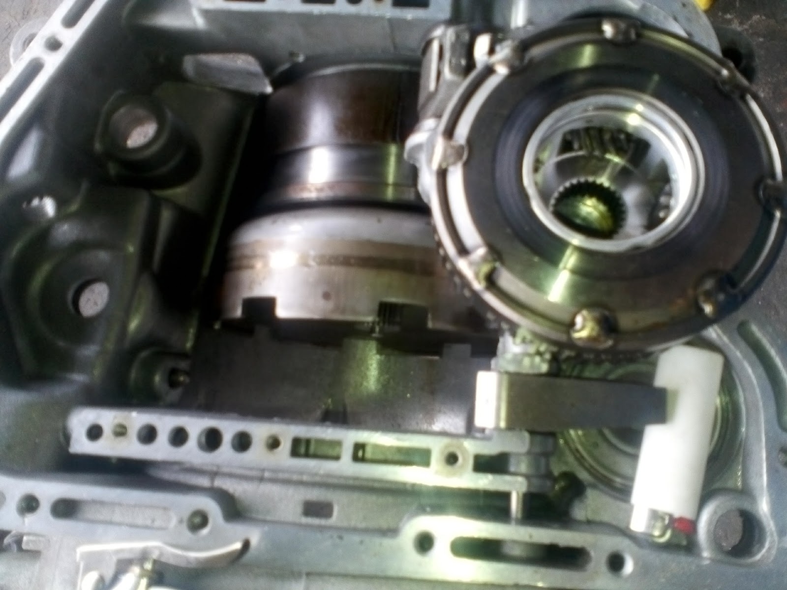 leetx-google-photo-81807-2 leetx-google-photo-81807-2