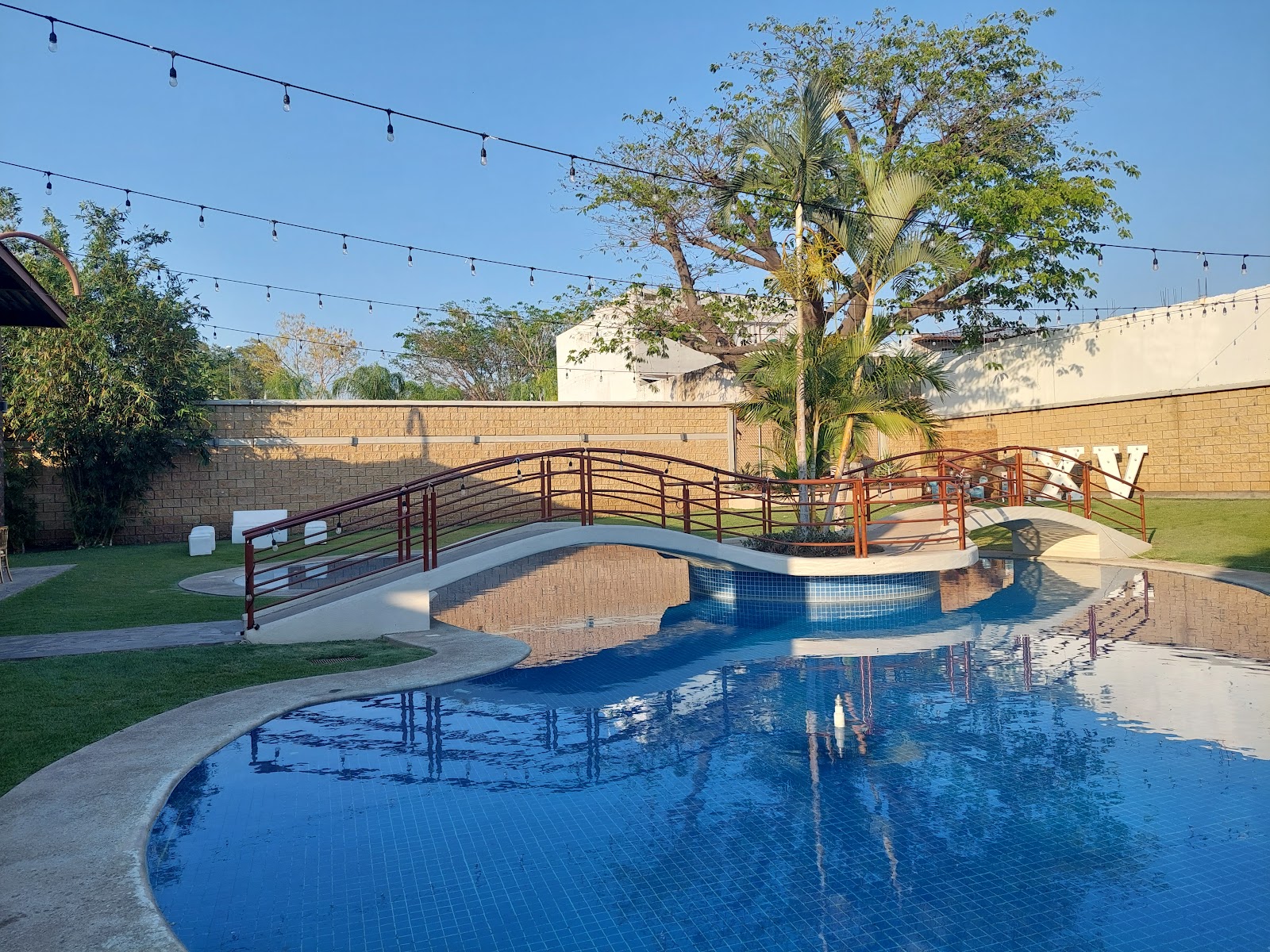 leetx-google-photo-81917-2 leetx-google-photo-81917-2