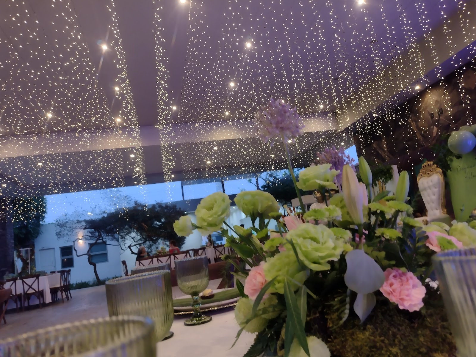 leetx-google-photo-81917-6 leetx-google-photo-81917-6