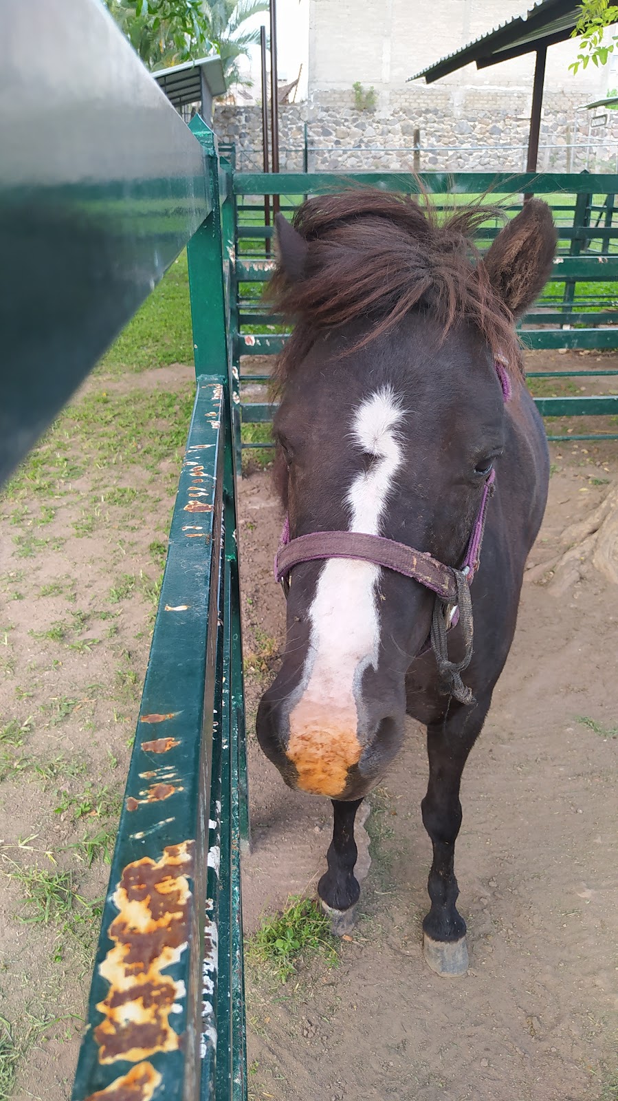 leetx-google-photo-82011-2 leetx-google-photo-82011-2