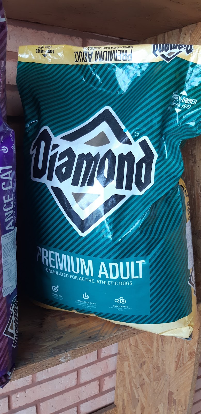 leetx-google-photo-84031-2 leetx-google-photo-84031-2