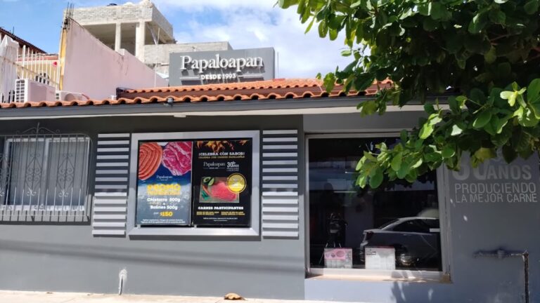 100926 carnes papaloapan huatulco 768x432