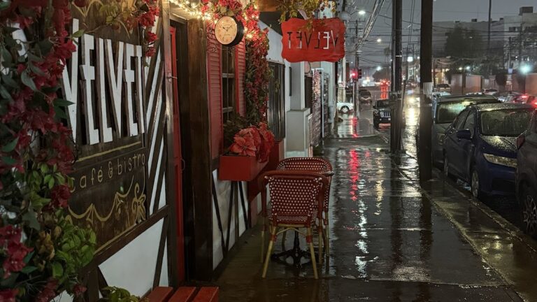 101049 velvet cafe bistro 768x432