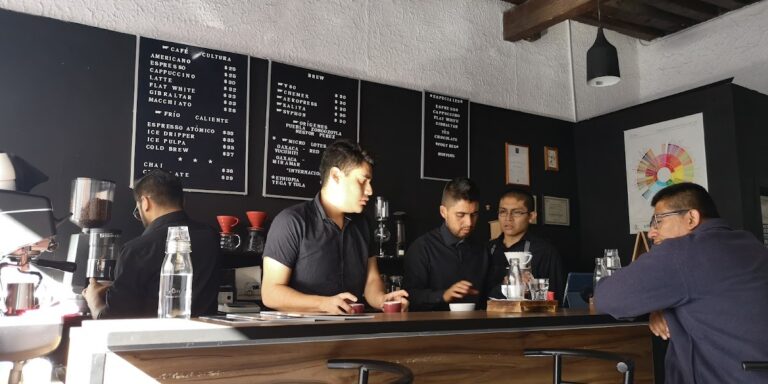 101279 cafe cultura 768x384
