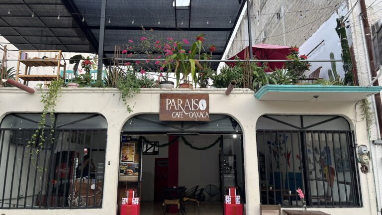 101314 cafe paraiso 768x432
