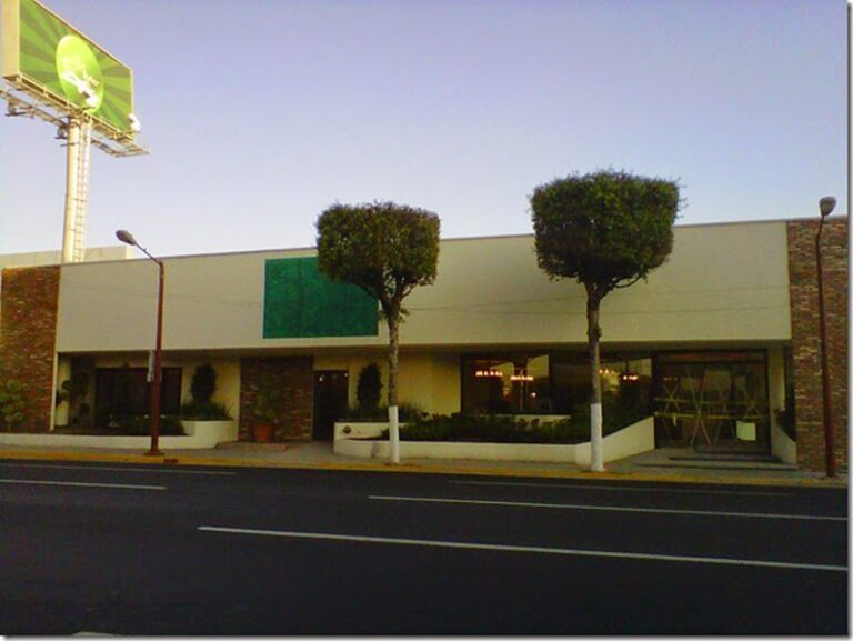 102247 la casa de tono en tlalnepantla 768x577