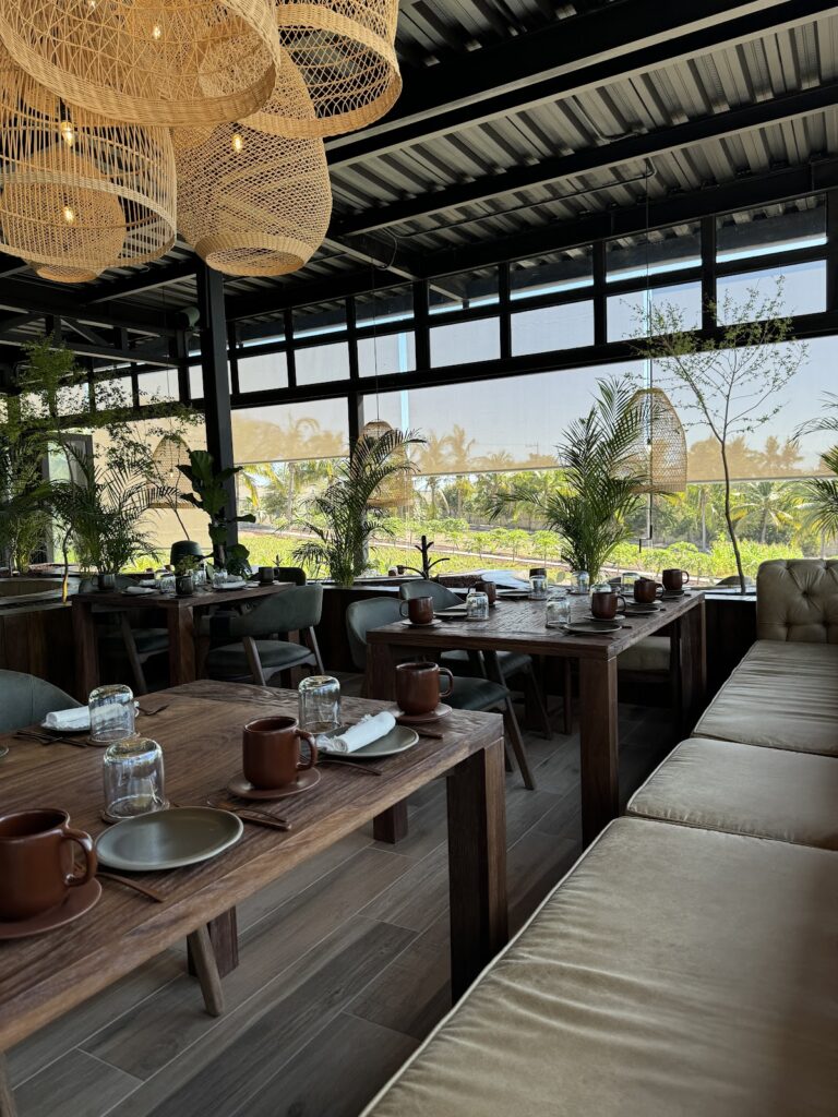 102292 cosecha farm to table 768x1024