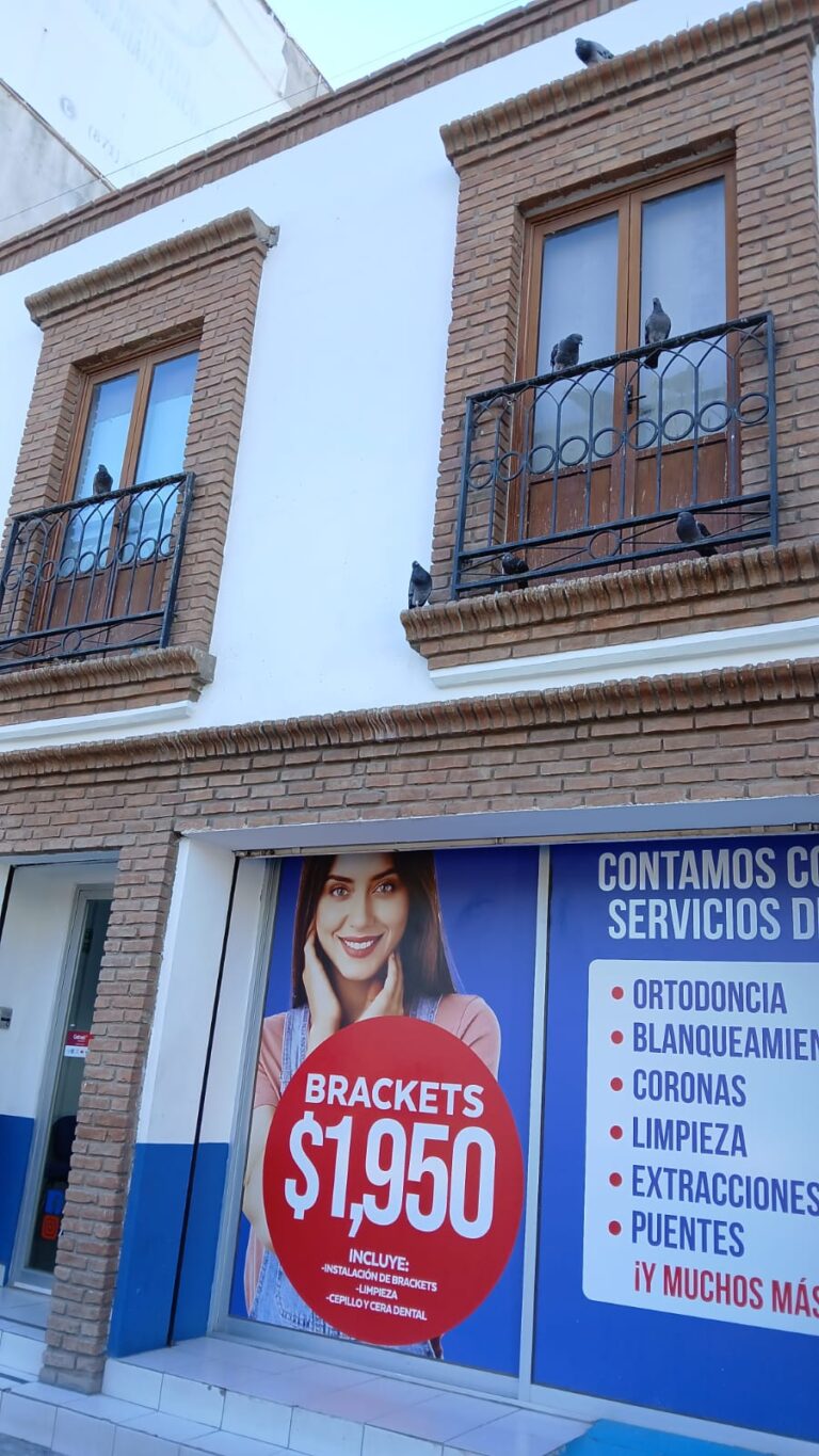 103833 los dentistas centro gomez 768x1365