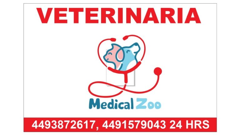 104166 veterinaria medical zoo 768x433