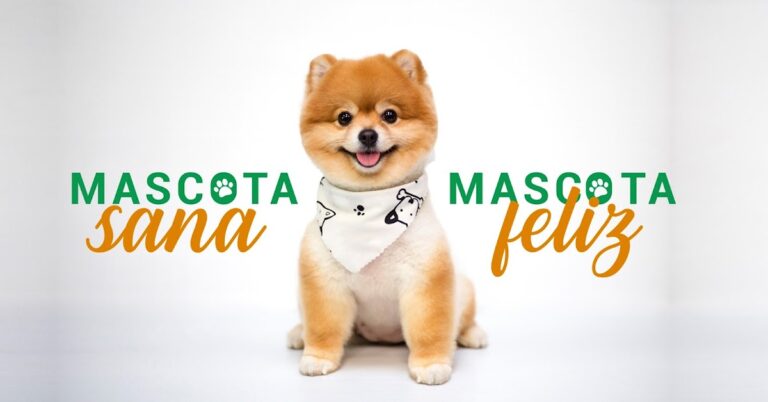 104198 veterinaria bahia 768x402