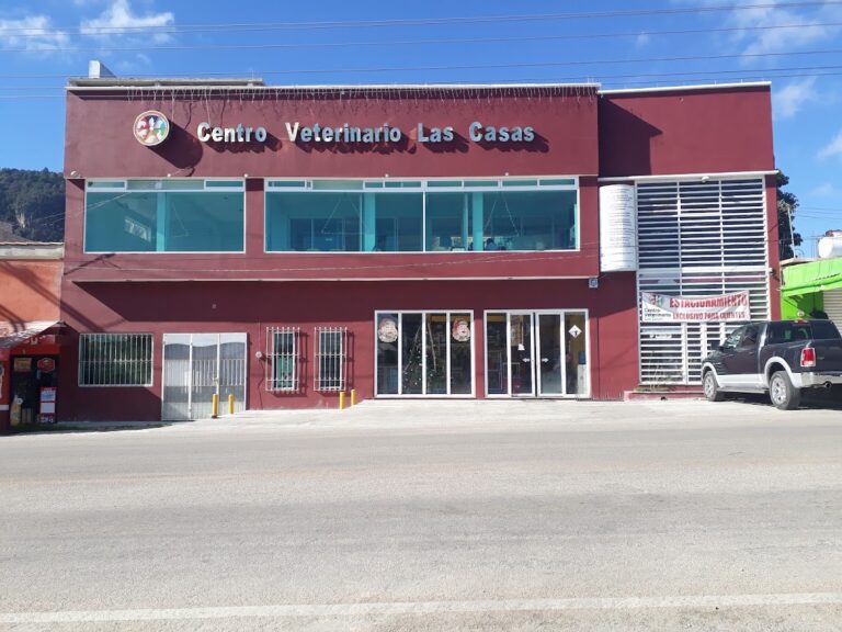 104208 centro veterinario las casas 768x576