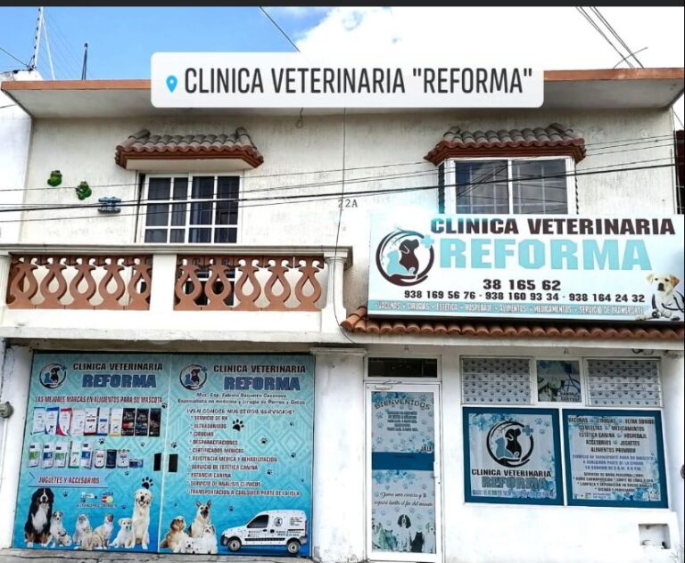 104212 veterinaria reforma 768x632
