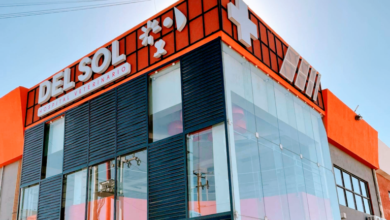 104214 del sol hospital veterinario 768x433