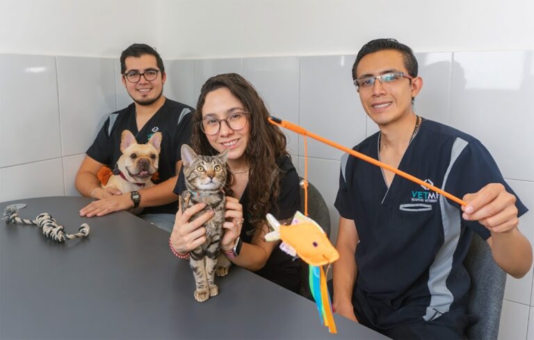 104249 vetme 8211 hospital veterinario condesa 768x490