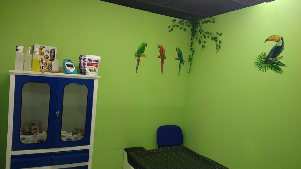 104251 clinica veterinaria 8220tekuani8221 1024x576