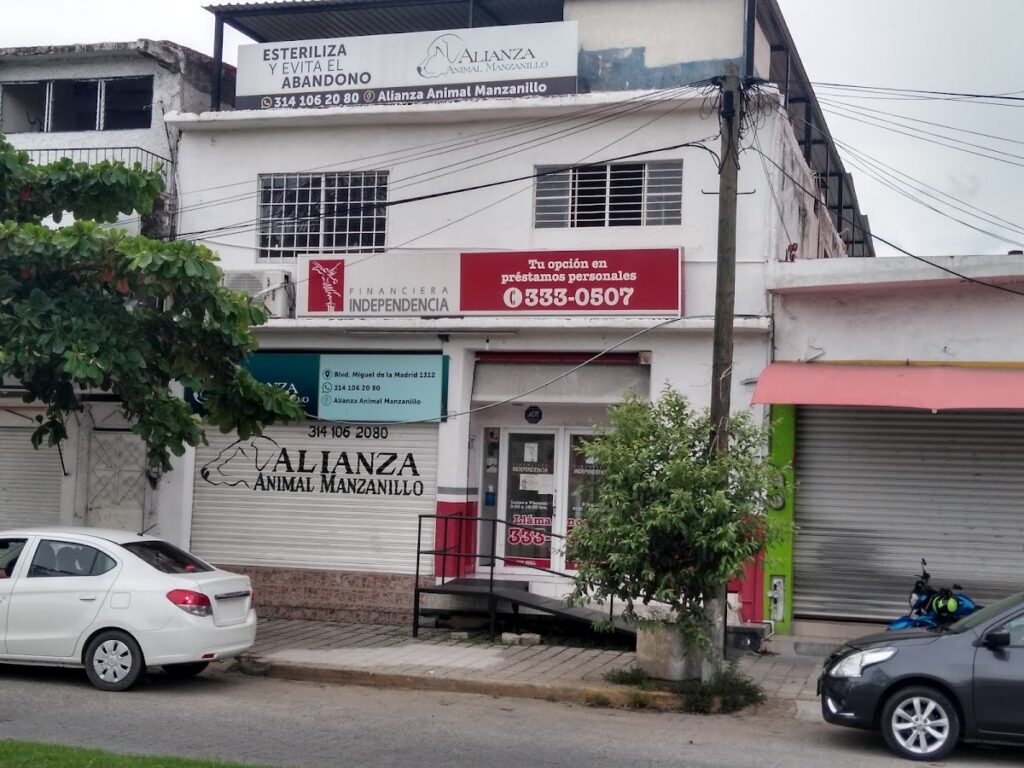 104253 alianza animal manzanillo 1024x768