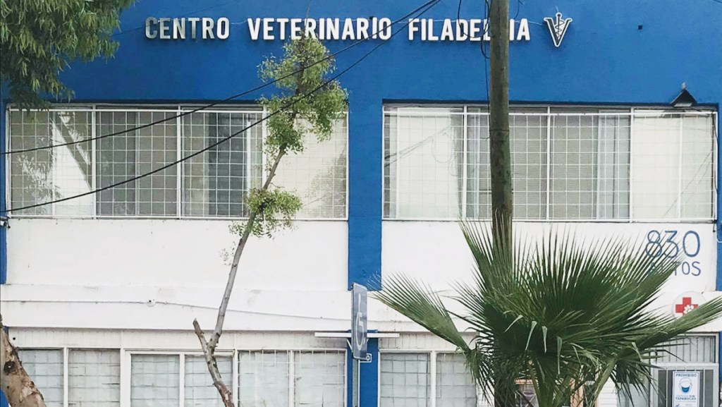 104268 centro veterinario filadelfia 1024x577