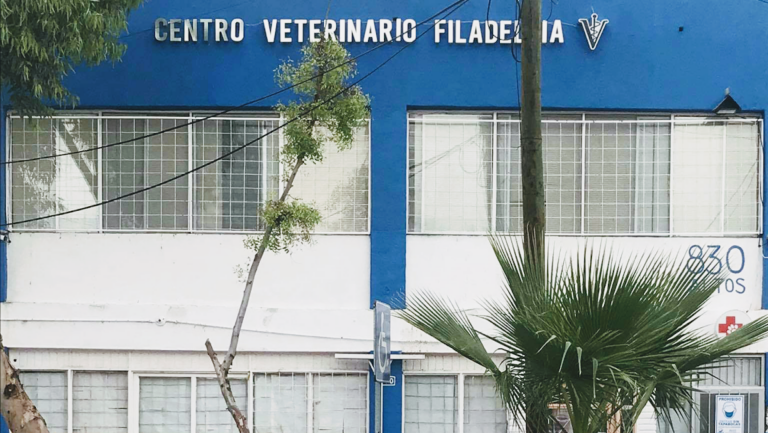 104268 centro veterinario filadelfia 768x433