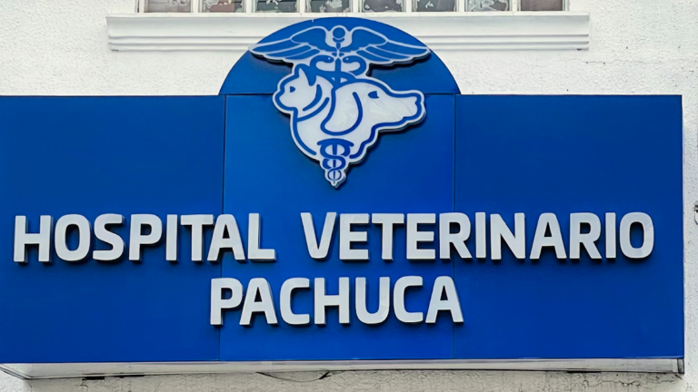 104295 hospital veterinario pachuca 768x432