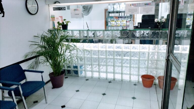 104313 hospital veterinario san jacinto 768x432
