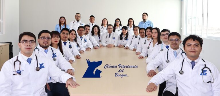 104340 clinica veterinaria del bosque emergencias 24hrs7 dias solo perros y gatos 768x337