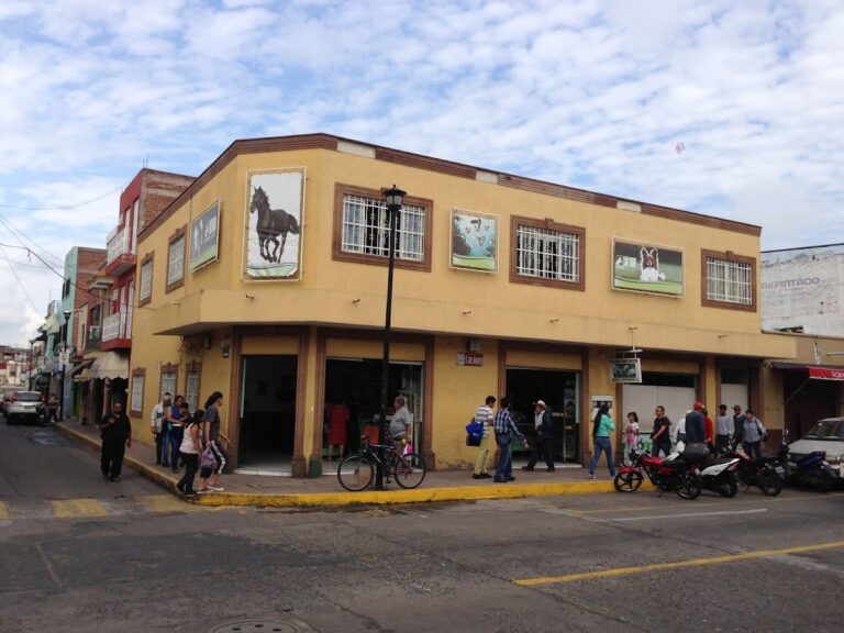104345 veterinaria nava castillo 768x576