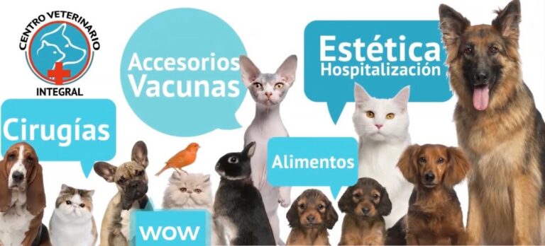 104355 centro veterinario integral el mosri 768x348